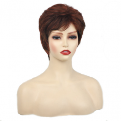 Simple Party Stage Street High Temperature Wire Side Fringe Straight Hair Wig Net