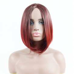 2 Packs Sweet Simple Style Holiday Home High Temperature Wire Centre Parting Long Straight Hair Wigs